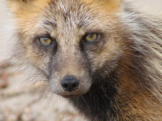 Similar image 2950813