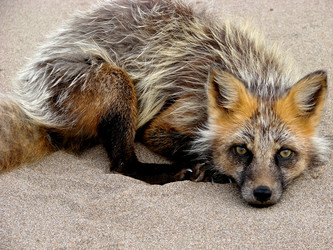 Similar image 2950815