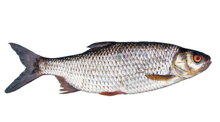 Similar image 2950821