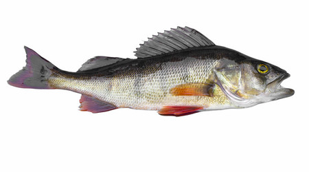 Similar image 2950822