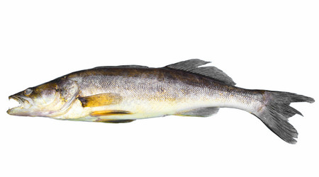 Similar image 2950823