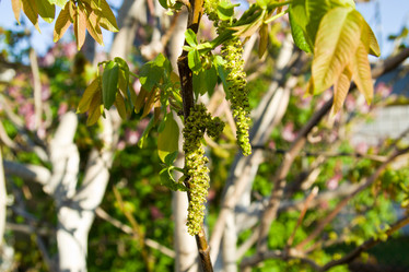 Similar image 2950891