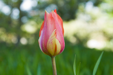 Similar image 2950892