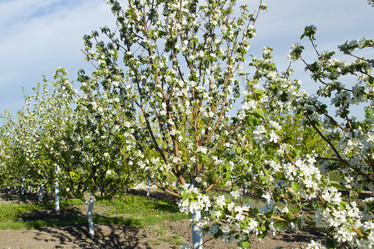 Similar image 2950893