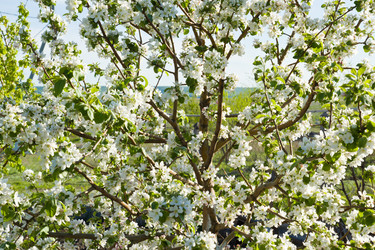 Similar image 2950894