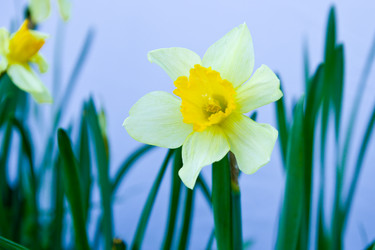 Similar image 2950895