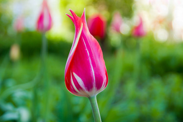 Similar image 2950896