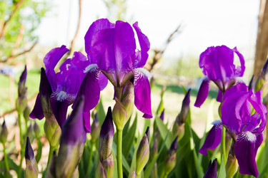 Similar image 2950897