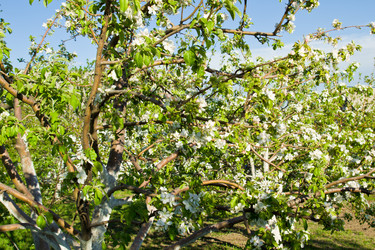 Similar image 2950898