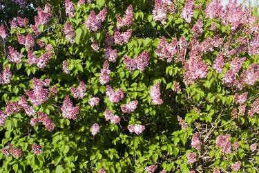 Similar image 2950900