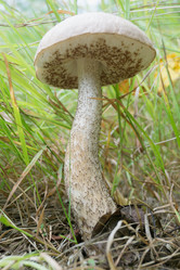 Similar image 2950968