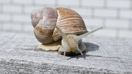 Similar image 2950969