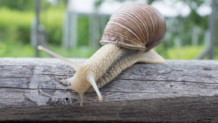 Similar image 2950970