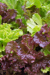 Similar image 2950974