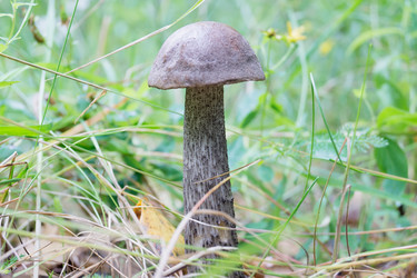 Similar image 2950977