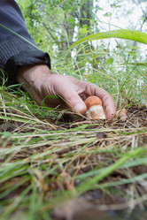 Similar image 2950979