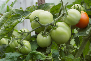 Similar image 2950980