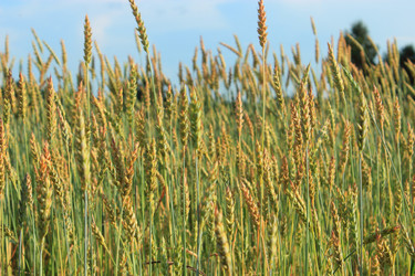 Similar image 2951022