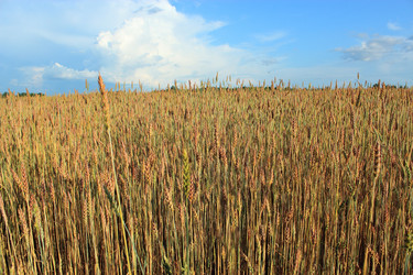 Similar image 2951023