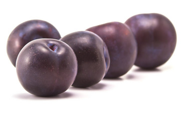 Similar image 2951038