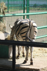 Similar image 2951067