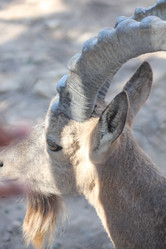 Similar image 2951068