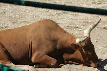 Similar image 2951069