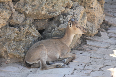 Similar image 2951071