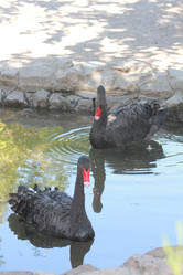 Similar image 2951072