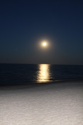 Similar image 2951073