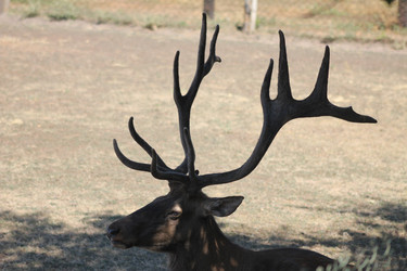 Similar image 2951074