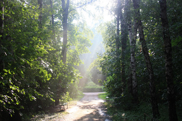 Similar image 2951079