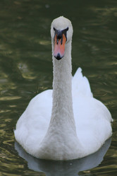 Similar image 2951080