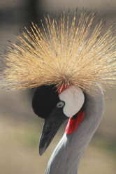 Similar image 2951097