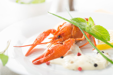 Similar image 2951181