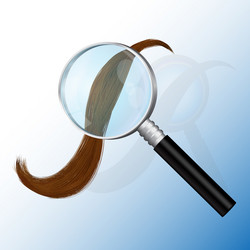 Similar image 2951192