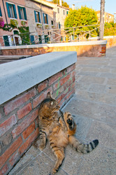 Similar image 2951612