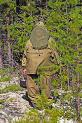 Similar image 2953405