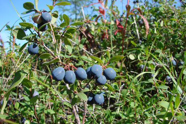 Similar image 2953437