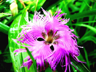 Similar image 2953439