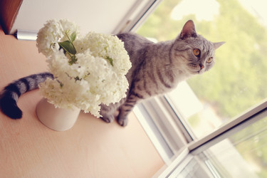 Similar image 2953465