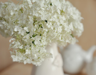 Similar image 2953473