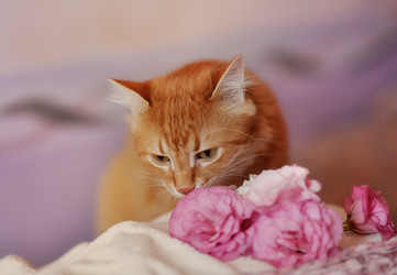 Similar image 2953478