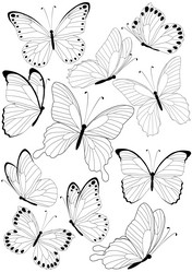 Similar image 2953498