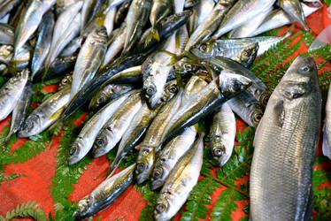 Similar image 2953539