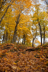 Similar image 2953629