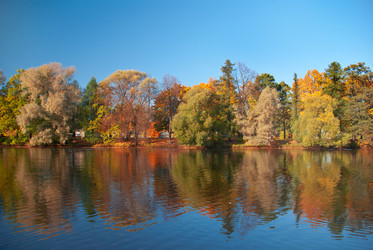 Similar image 2953632