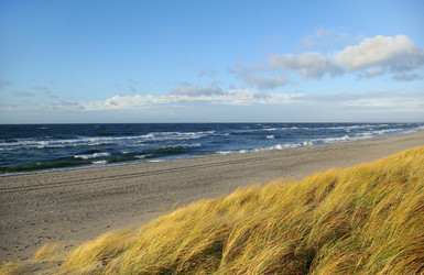 Similar image 2953634