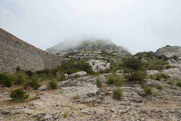 Similar image 2953697