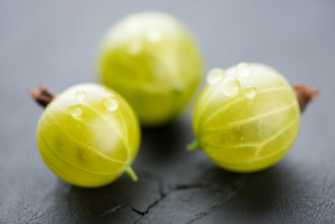 Similar image 2953703